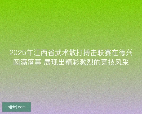 2025年江西省武术散打搏击联赛在德兴圆满落幕 展现出精彩激烈的竞技风采